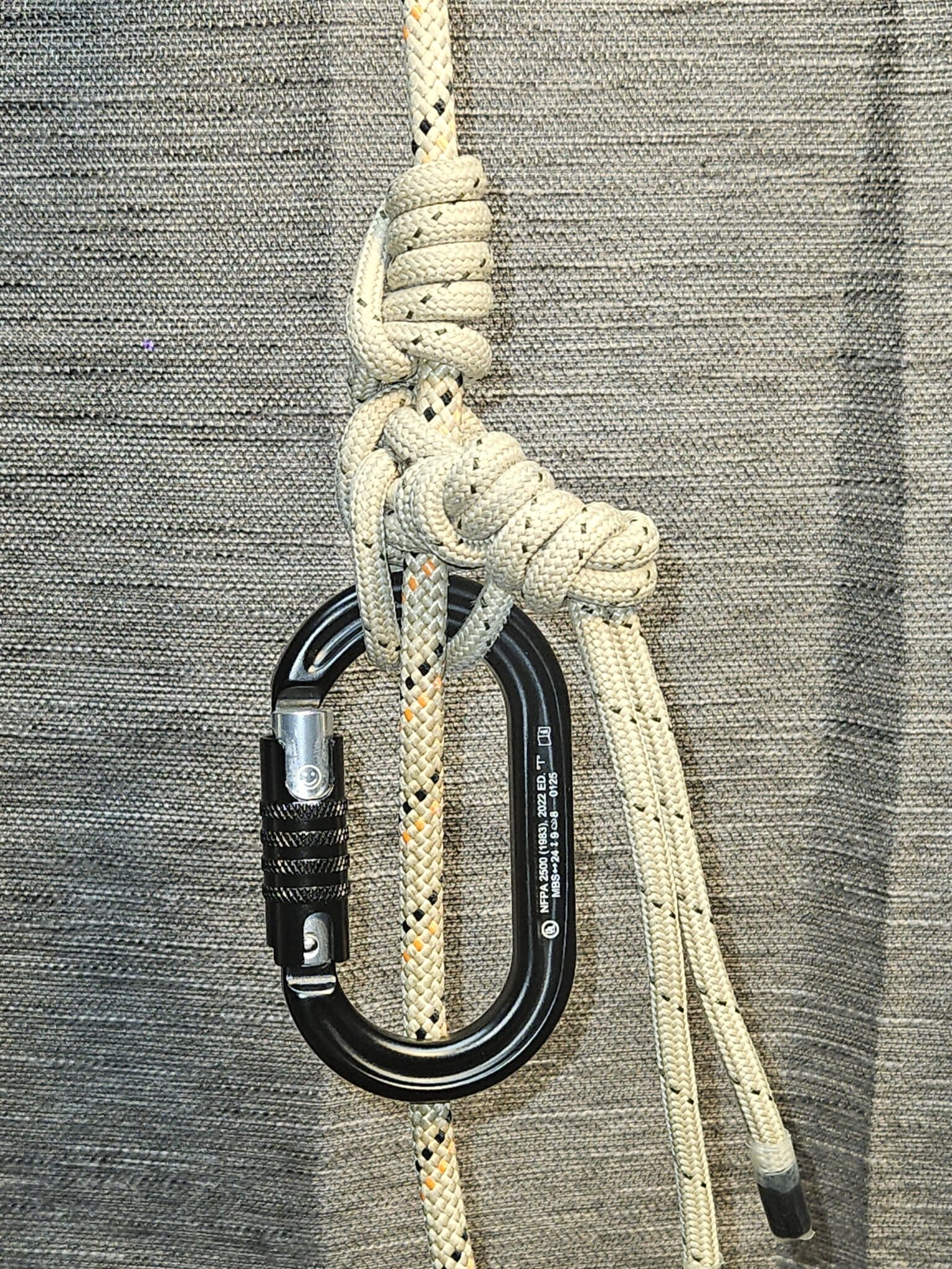 Tether Jrbtreeclimbing